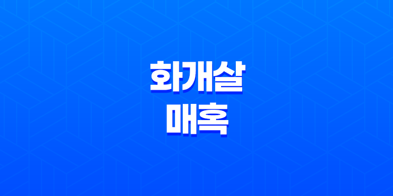 화개살의 매혹 - 화려함을 둘러싼 고독과 미덕 7