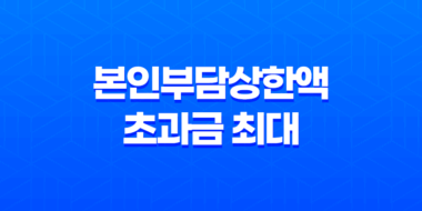 본인부담상한액 초과금 최대 132만원, 의료 지원혜택 소개 37