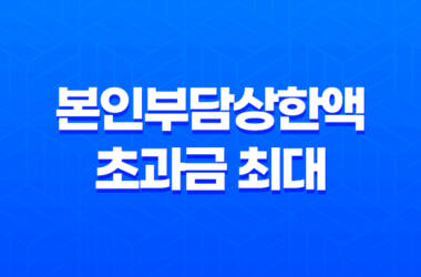 본인부담상한액 초과금 최대 132만원, 의료 지원혜택 소개 17