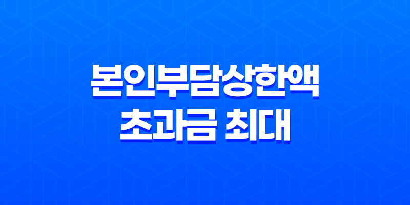 본인부담상한액 초과금 최대 132만원, 의료 지원혜택 소개 8 본인부담상한액 초과금 최대 132만원, 의료 지원혜택 소개 7