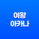 여왕 아카나 강력한 지성과 매력의 상징 13