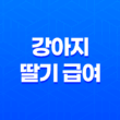 강아지 딸기 급여 방법과 주의사항 25