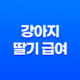 강아지 딸기 급여 방법과 주의사항 23