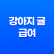 강아지 귤 급여, 주의사항과 안전한 방법 23
