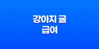 강아지 귤 급여, 주의사항과 안전한 방법 41