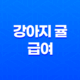 강아지 귤 급여, 주의사항과 안전한 방법 25
