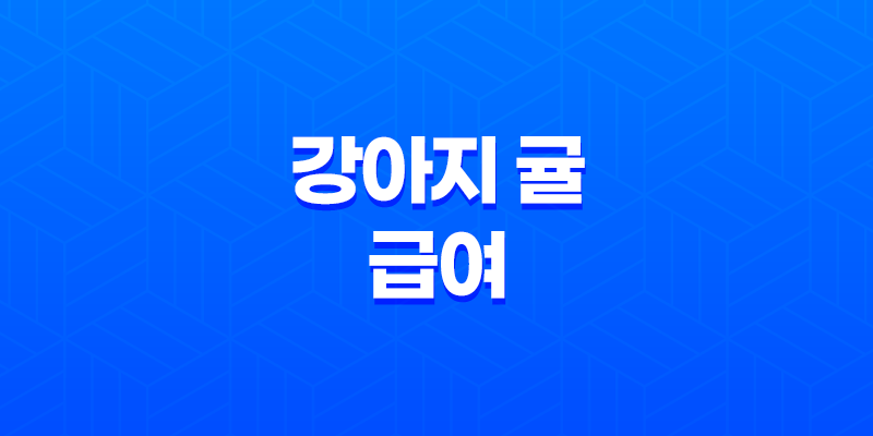 강아지 귤 급여, 주의사항과 안전한 방법 7