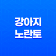 강아지 노란토 이유, 강아지 노란거품토 하는 이유와 대처법 23