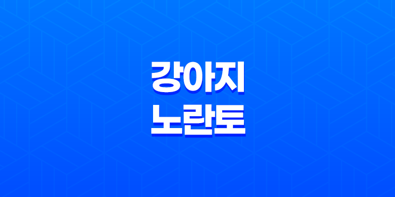 강아지 노란토 이유, 강아지 노란거품토 하는 이유와 대처법 8 강아지 노란토 이유, 강아지 노란거품토 하는 이유와 대처법 7
