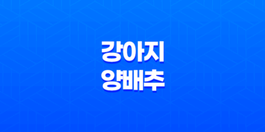 강아지 양배추 생양배추 효능과 급여 방법, 주의점 47