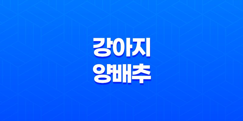 강아지 양배추 생양배추 효능과 급여 방법, 주의점 8 강아지 양배추 생양배추 효능과 급여 방법, 주의점 7