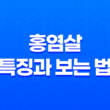 홍염살 특징과 보는 법 - 도화살과의 차이 1
