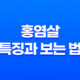 홍염살 특징과 보는 법 - 도화살과의 차이 15