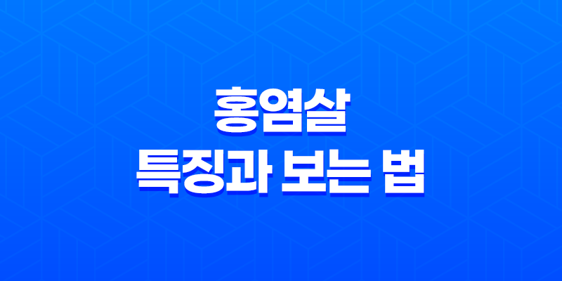 홍염살 특징과 보는 법 - 도화살과의 차이 7