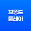 털 안빠지는 강아지, 꼬똥 드 툴레아 성격, 수명, 분양가, 주의할 점 25