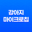 강아지마이크로칩 내장칩 등록 방법 및 비용 27
