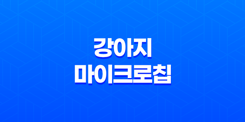 강아지마이크로칩 내장칩 등록 방법 및 비용 8 강아지마이크로칩 내장칩 등록 방법 및 비용 7