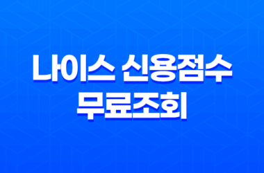 나이스 신용점수 무료조회 - 올려야 할 신용 등급 15