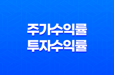 주가수익률(PER)과 투자수익률(ROI) 13