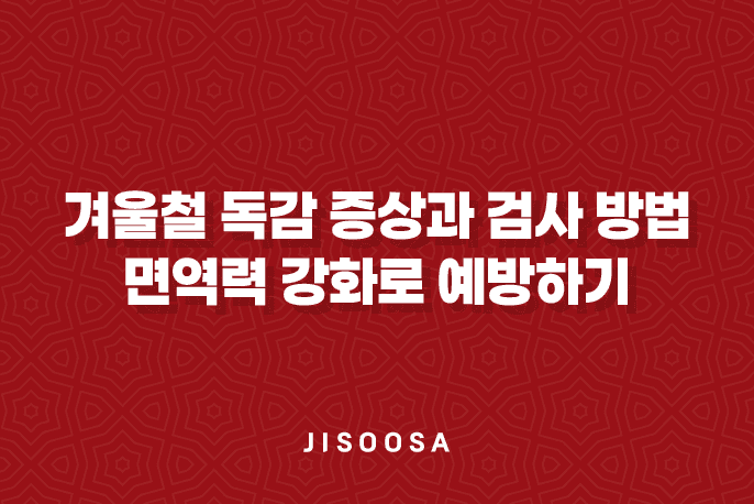 겨울철 독감 증상과 검사 방법 - 면역력 강화로 예방하기 1