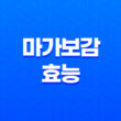 마가보감 효능과 가격, 설선물 추천 43