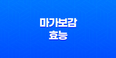 마가보감 효능과 가격, 설선물 추천 78