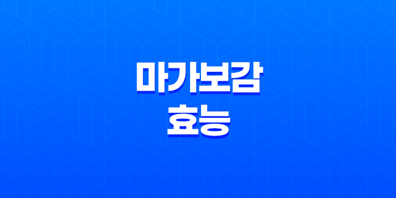 마가보감 효능과 가격, 설선물 추천 8 마가보감 효능과 가격, 설선물 추천 7