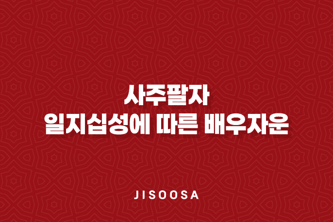 일지십성(十星)에 따른 배우자운 1