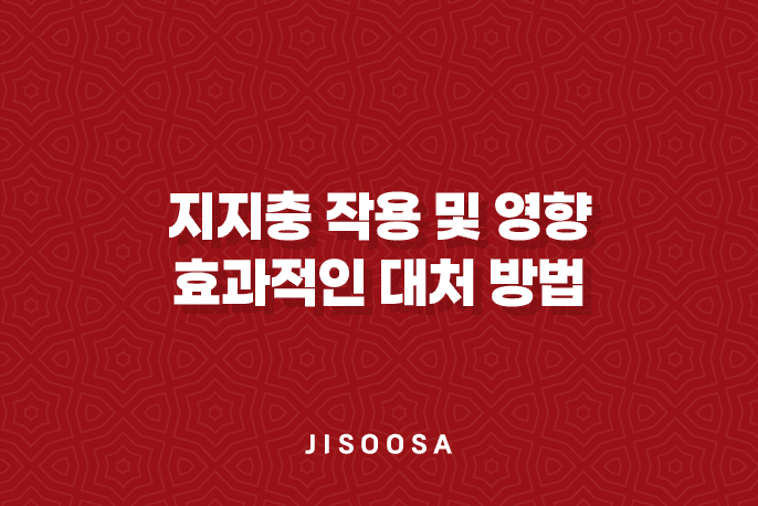 사주팔자에서의 지지충 작용 및 영향 : 현실적인 문제에 대한 효과적인 대처 방법 1