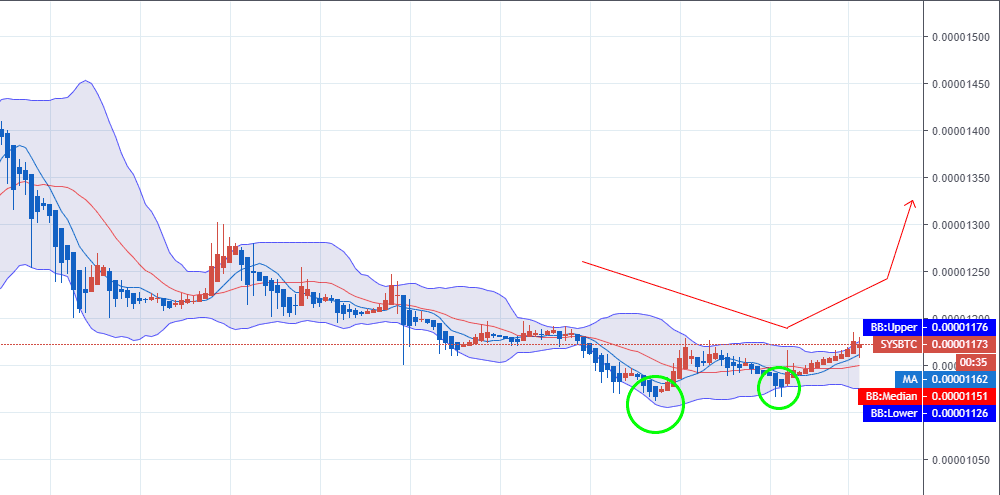 코인투자 세력이 올리는 펌핑의 특징