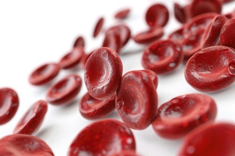 콜레스테롤을 낮추는 7가지 식품과 영양제 7