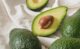 아보카도 자주 묻는 질문