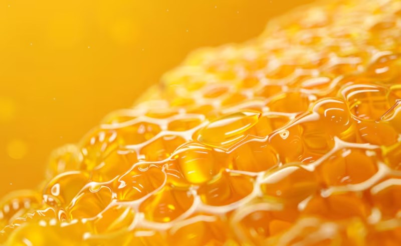 프로폴리스와 건강