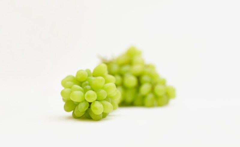 머루 효능과 부작용 7 머루 효능과 부작용