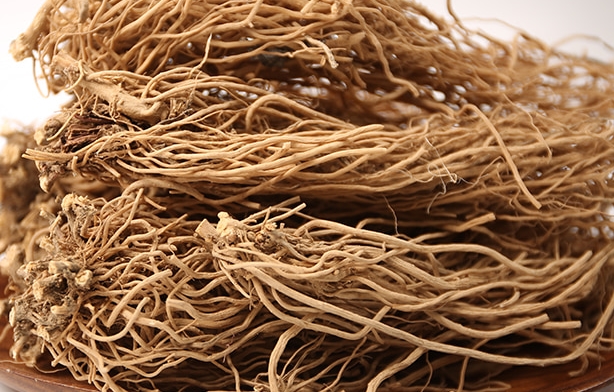 우슬(쇠물팍) 효능 7가지 7 우슬(쇠물팍)