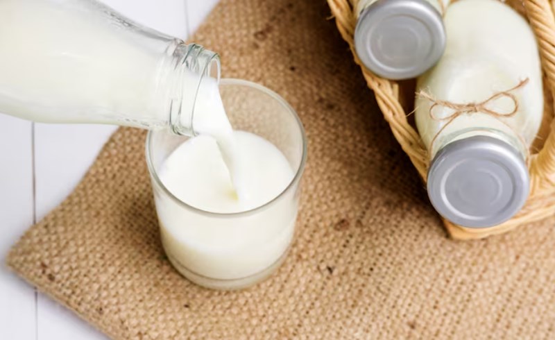 초유 효능 및 부작용