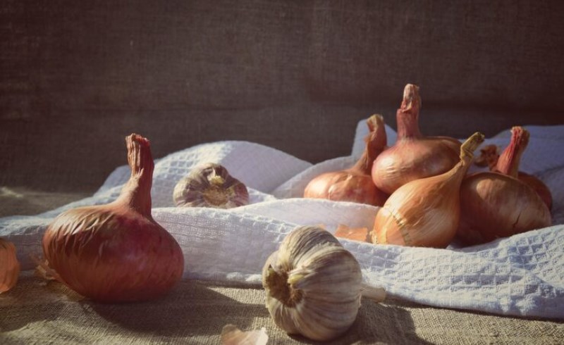 양파즙 효능과 만드는 법 - 암 예방, 혈압강화, 지방제거 8 양파즙 효능