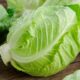 양배추, 위암 예방에 탁월한 음식 17