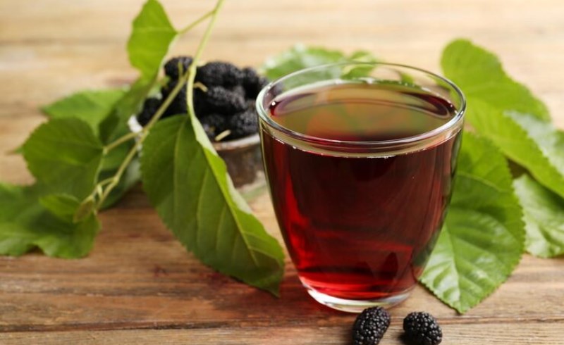 뽕잎차의 효능과 부작용 7 뽕잎차의 효능과 부작용