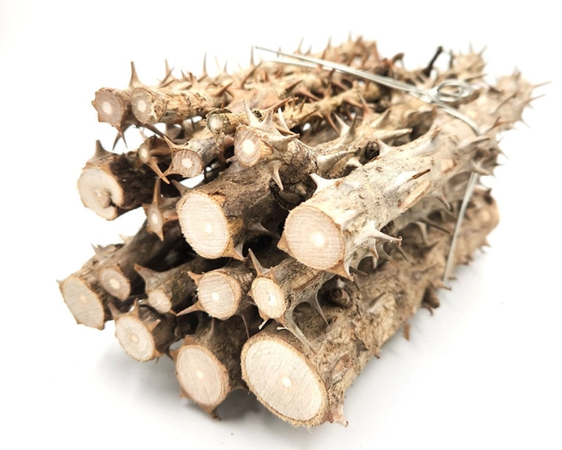 엄나무의 복용 방법