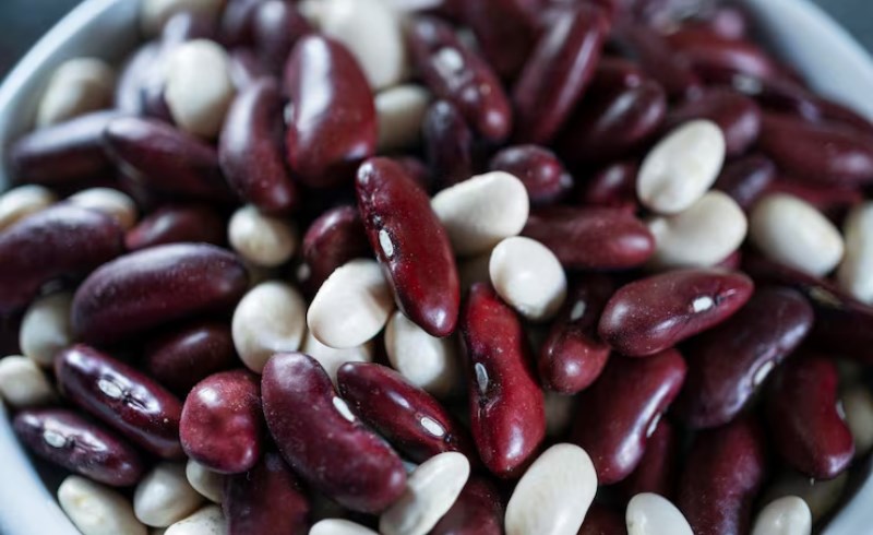 혈액순환 개선과 고지혈증 예방