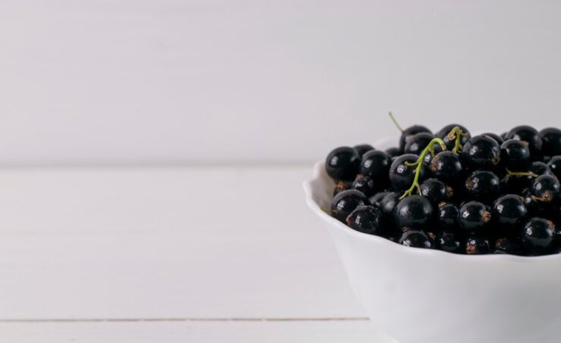 마키베리 효능 및 부작용 9 마키베리의 섭취량