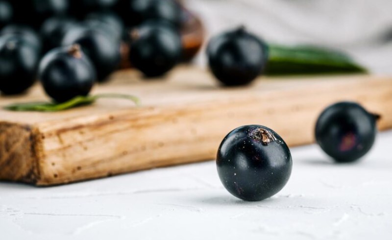 마키베리 효능 및 부작용 8 마키베리의 다양한 효과