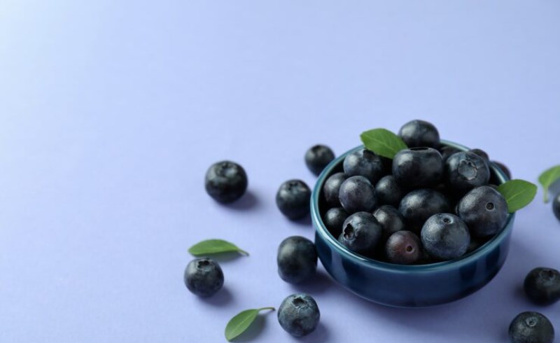 마키베리 효능 및 부작용 7 마키베리 효능 및 부작용