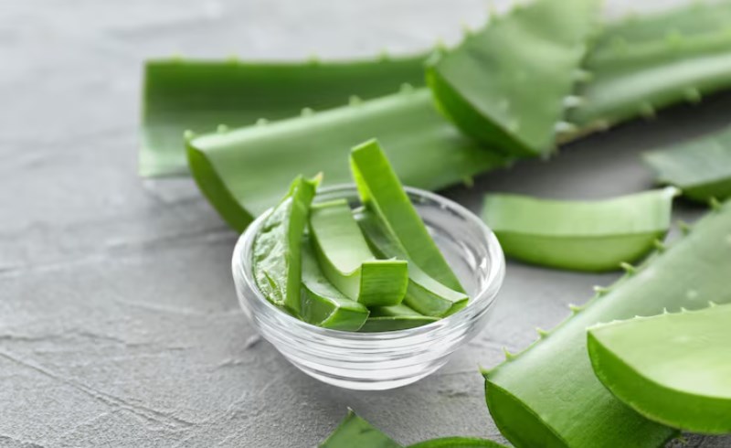 알로에베라 복용시 주의사항