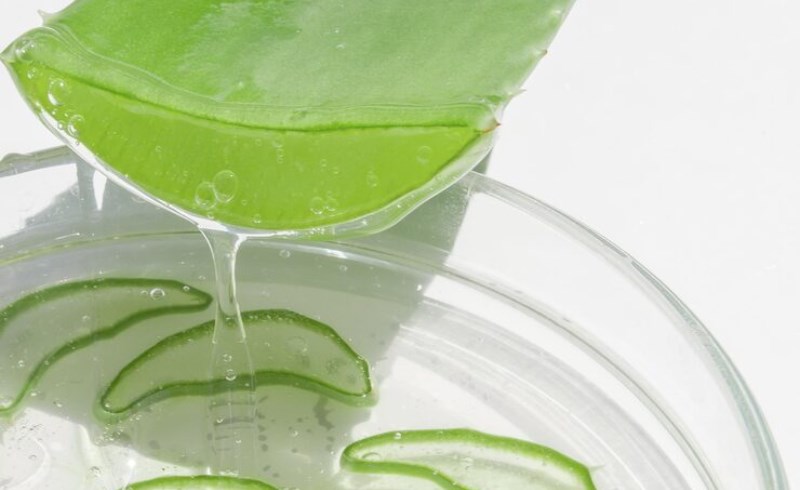 알로에베라의 피부 미용 효과