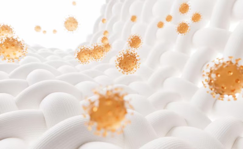 염증 예방을 위한 5가지 음식 8 염증과 부기 예방