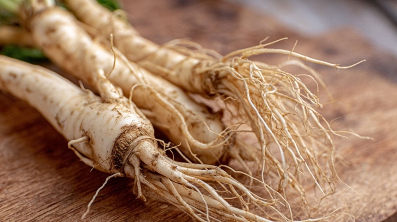 도라지의 효능 7가지 알아보기