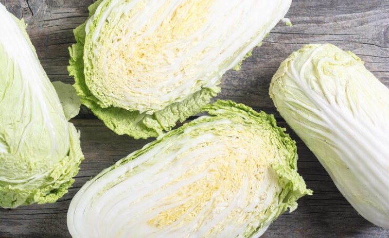 양배추의 해독 작용