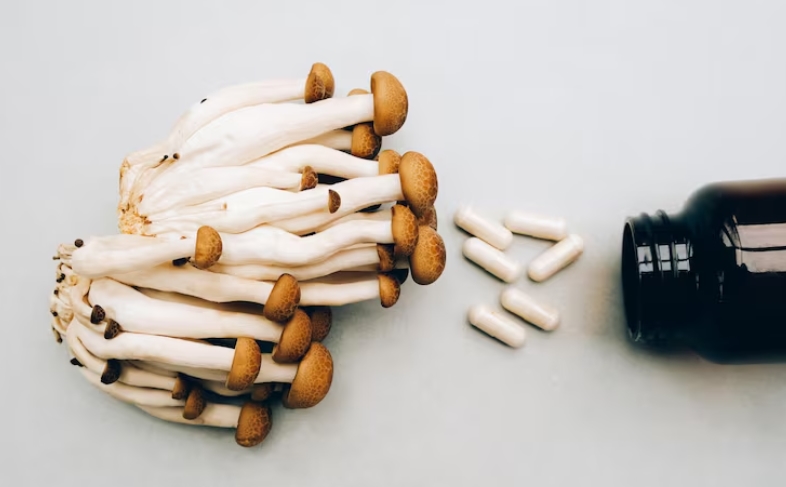 셀룰라이트 분해와 팽이버섯